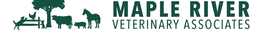 Maple River Veterinary Associates